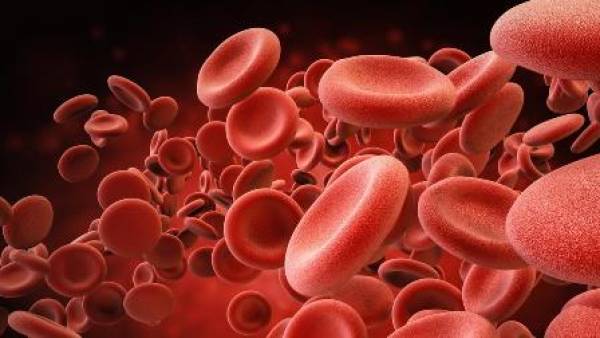 Sel darah yang berfungsi untuk membekukan darah saat terluka adalah